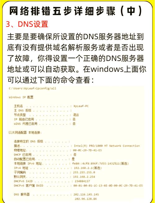 2025年安卓系统中TP应用闪退及5G网络连接不稳定问题分析